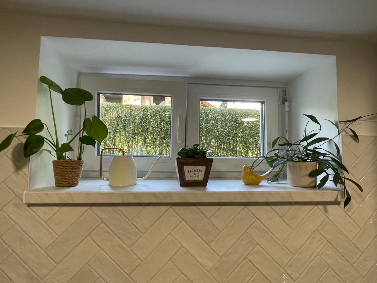 Home-in Apartma
